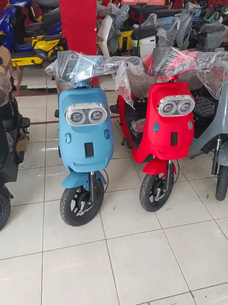 SEPEDA LISTRIK EKSOTIK X650