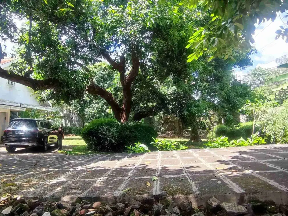 Tanah di Jalan utama Semarang atas