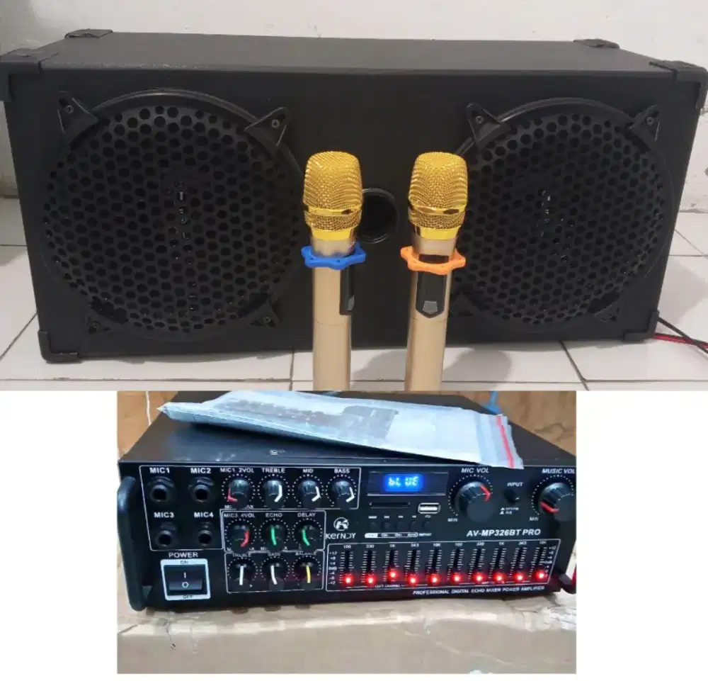 Sound system karaoke 10 in wireless