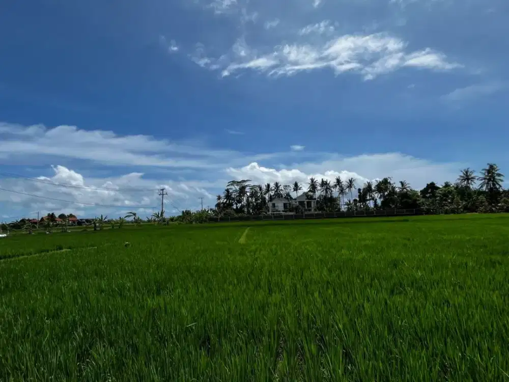 Jual Tanah Full View Laut , Gunung  Dan Sawah Di Jalan Pantai Pasut Tabanan Bali. Villa Mantra , 200 Meter Pantai, Tanah Lot, Pantai Klecung,