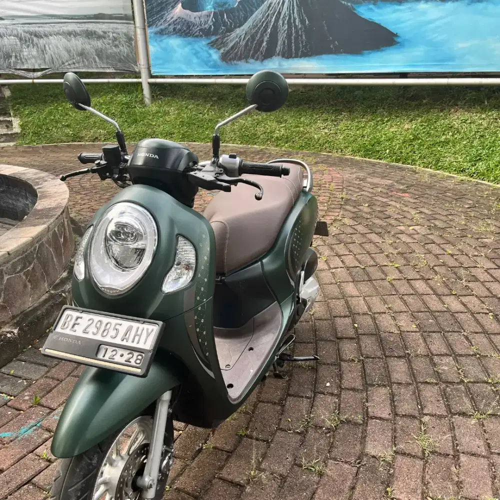 scoopy stylist remot