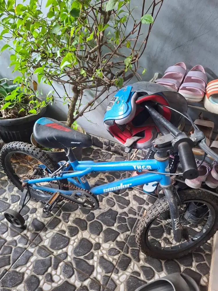 JUAL SEPEDA ANAK BEKAS MURAH