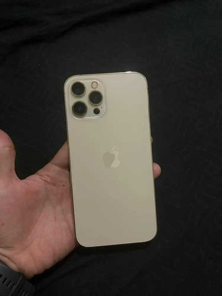 iPhone 12 pro max 128 gb unit only