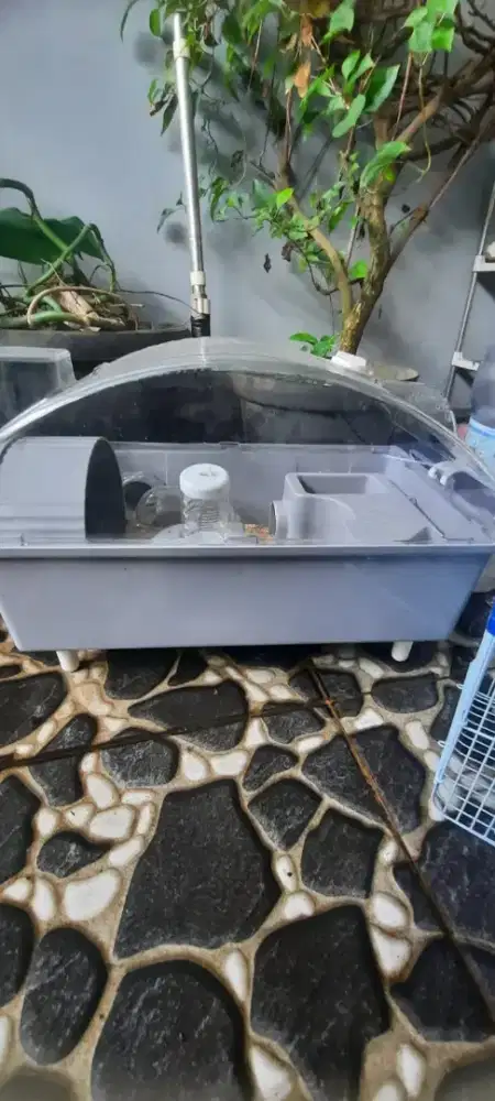 JUAL KANDANG HAMSTER MURAH