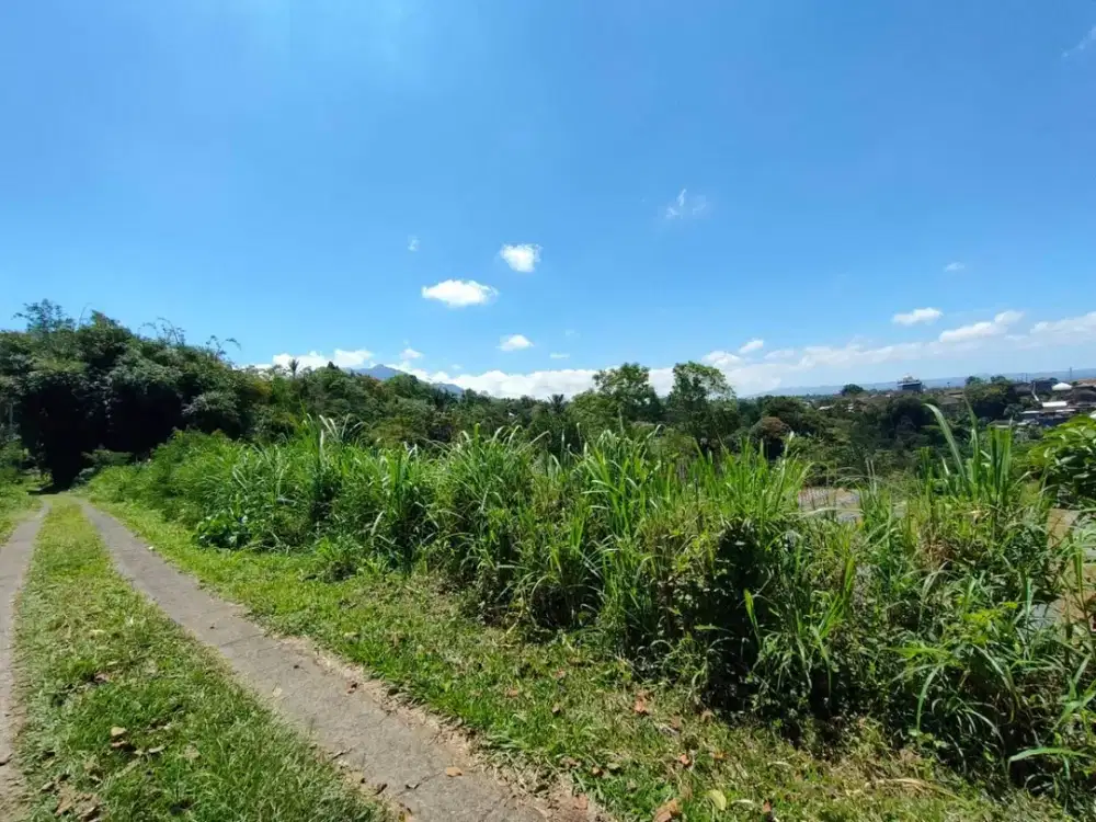 Jual Tanah Kebun Durian Produktif View Gunung  Sunrise, Sunset Di Baturiti Tabanan  Bali.