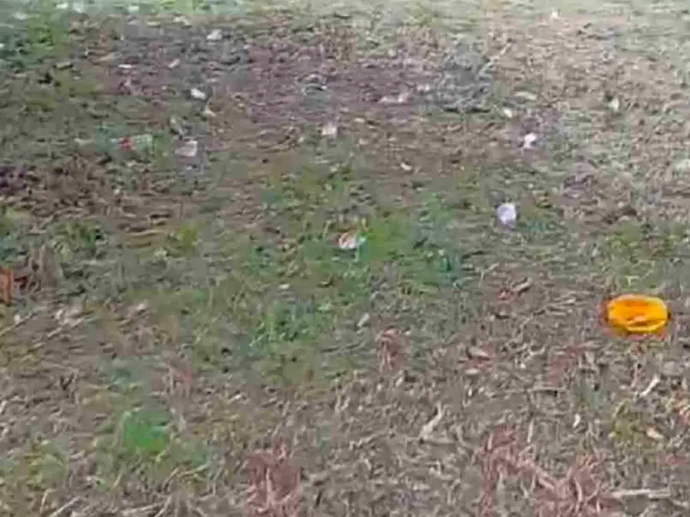 Tanah murah 3.5 jt siap bangun luas 1318 m lebar 28 m di jakasetia dekat Pekayon galaxy