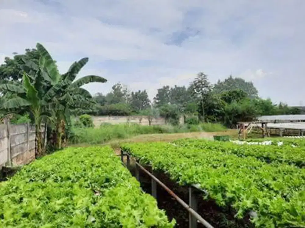 DIJUAL segera kavling di Pagedangan dekat ICE BSD Tangerang