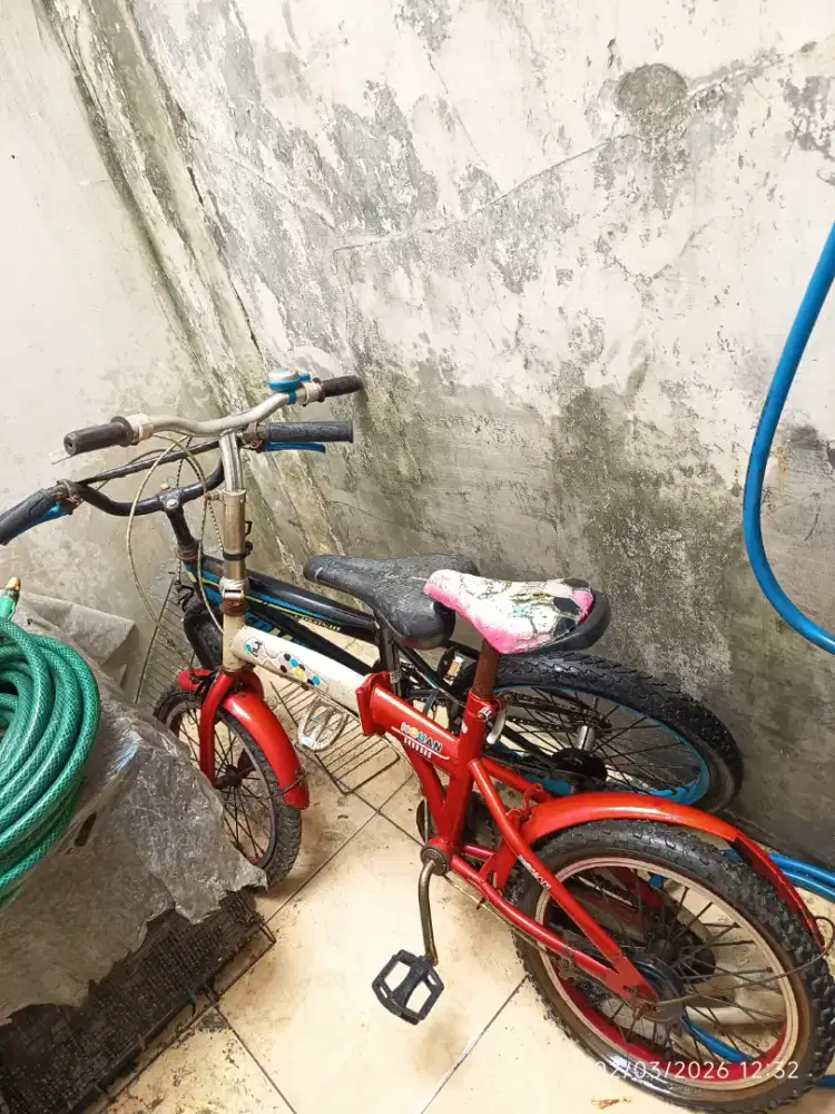 Sepeda Bekas dapat 2