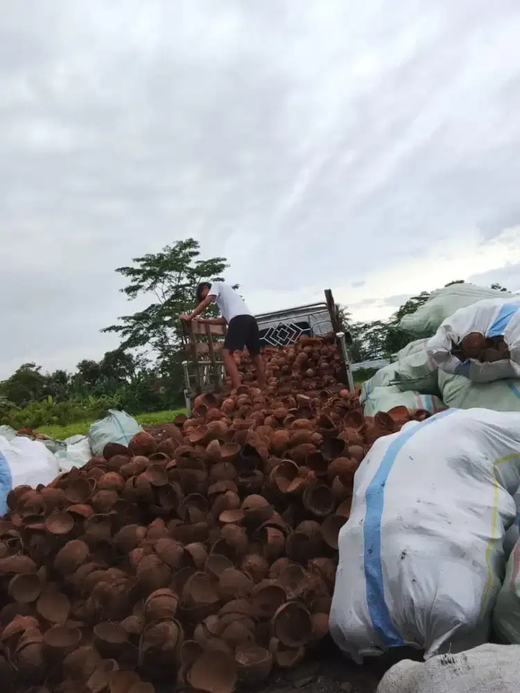 Dibutuhkan Crew untuk pembakaran arang batok kelapa