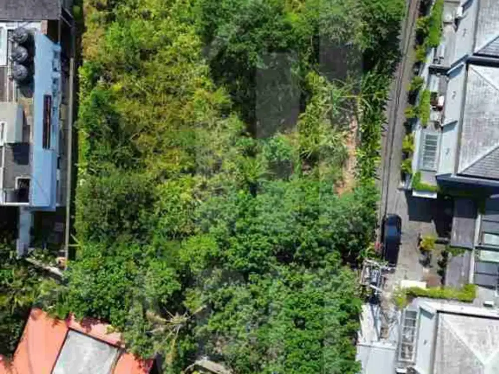 TANAH COCOK UNTUK VILLA DI CANGGU BALI