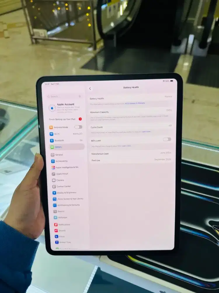 iPad Pro M4 Grey 13-inch (2024) 256GB WiFi Only ex Garansi Resmi iBox