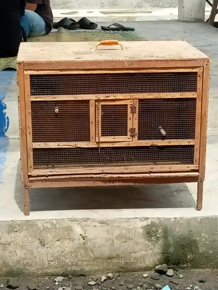 kandang kotak buat ternak