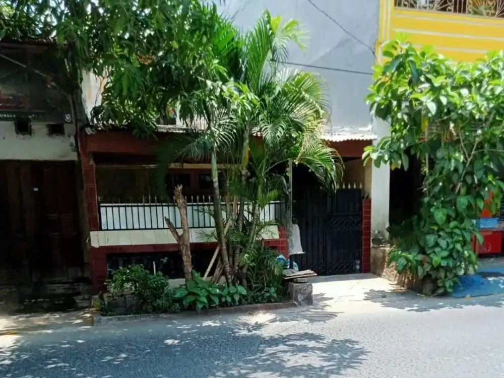 Dijual Rumah Makassar sekitar Jalan Talasalapang, Jl Minasaupa, Jl Jipang Raya