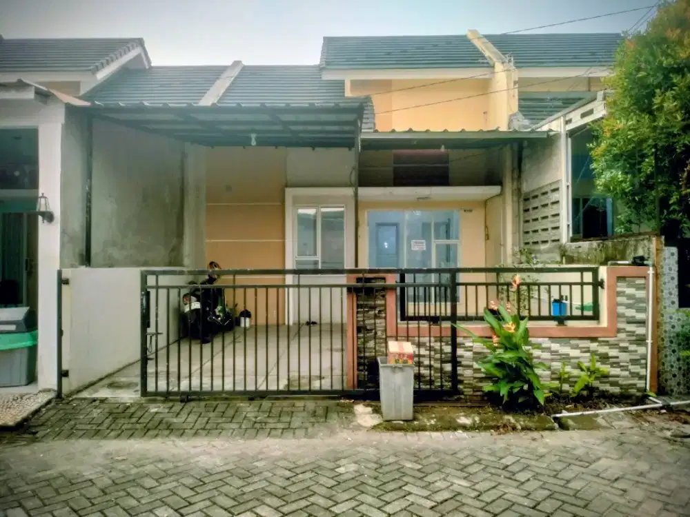 Disewakan rumah per Tahun di Curug, 2KT/1KM