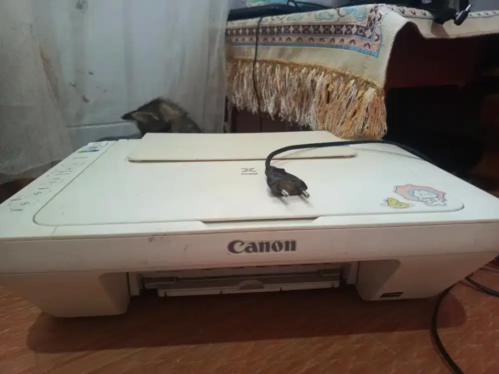 Printer Canon MG2570
