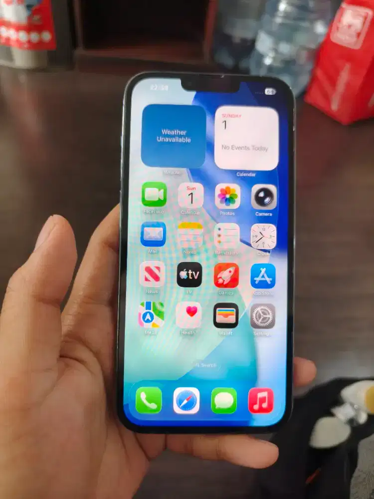 iPhone 13 Pro Max 1TB Mulus BH 90