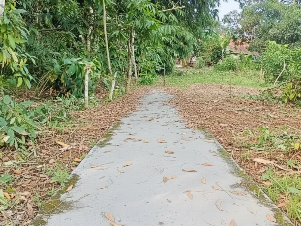 Kavling Tepi Jalan,Area Cisauk Mulai 100Jtan