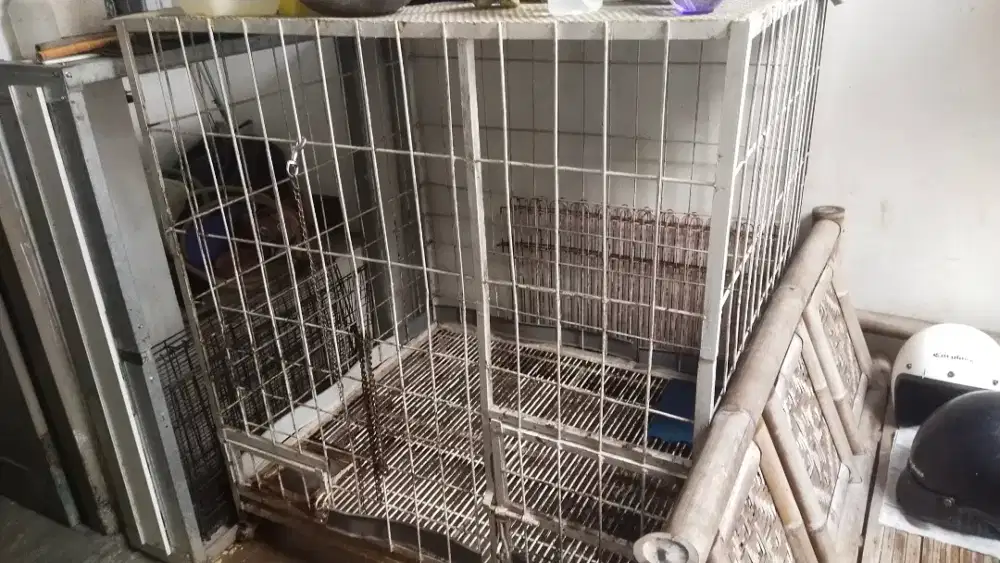 Kandang anjing besar