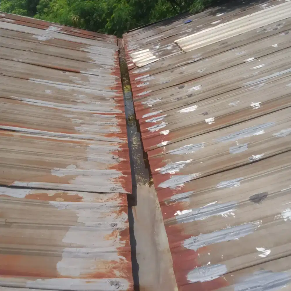 Tukang perbaikan atap bocor, perbaikan plafon rembes talang air dll