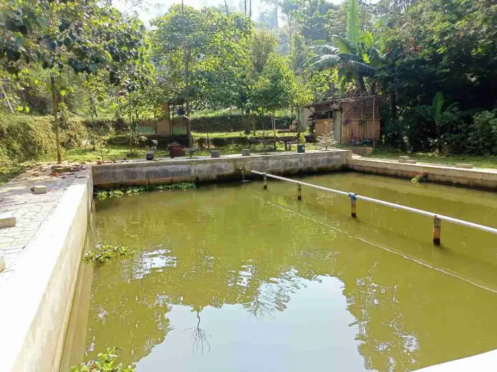 JUAL CEPAT TANAH MURAH SUDAH ADA KOLAM IKANNYA CIWIDEY BANDUNG SELATAN