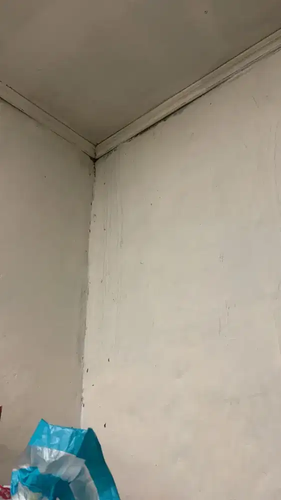 Tukang bagunan, tukang atap bocor plafon rembes talang air, renovasi