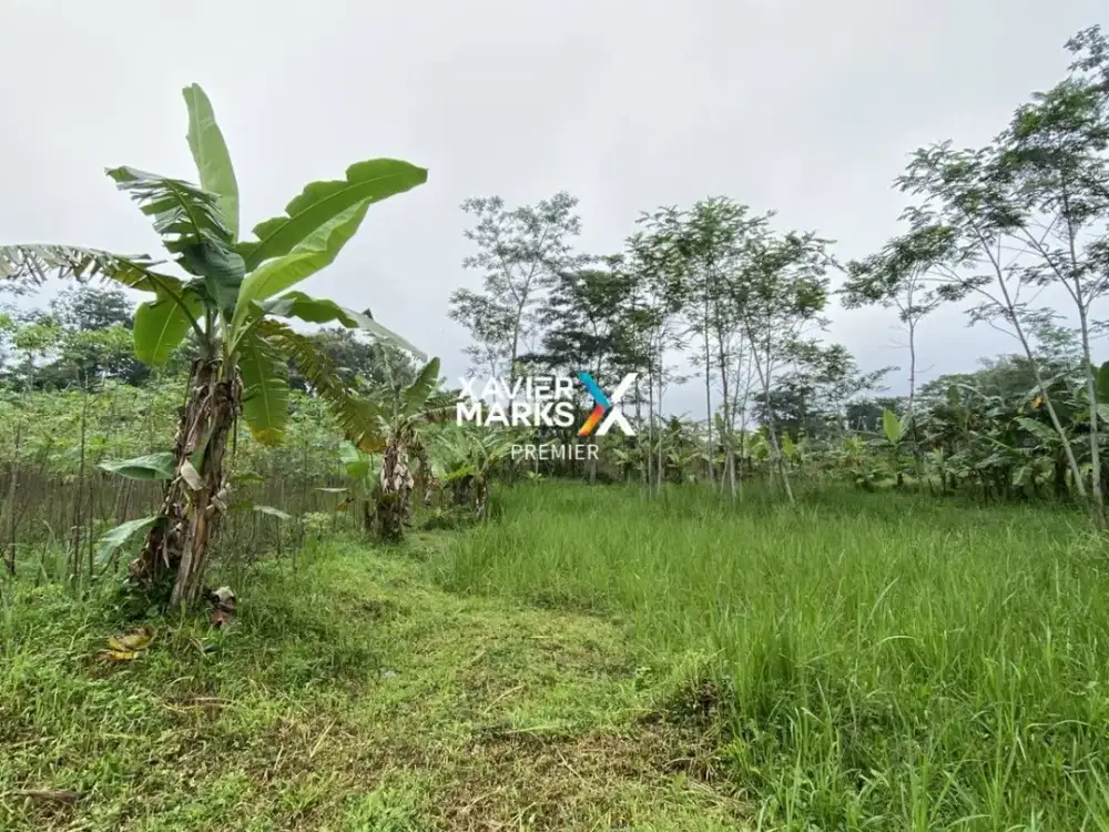 Dijual Tanah Kavling Siap Bangun di Pandanlandung Wagir Malang