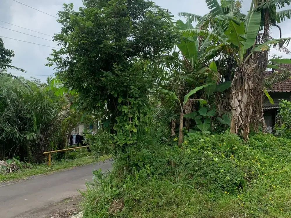 DIJUAL TANAH PEKARANGAN MURAH LOKASI WONOKERTO TURI SLEMAN YOGYAKARTA