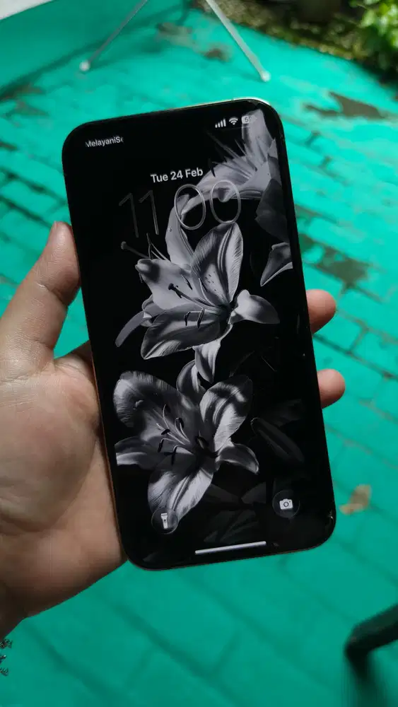 Iphone 13 pro max 256 GB Gold Inter