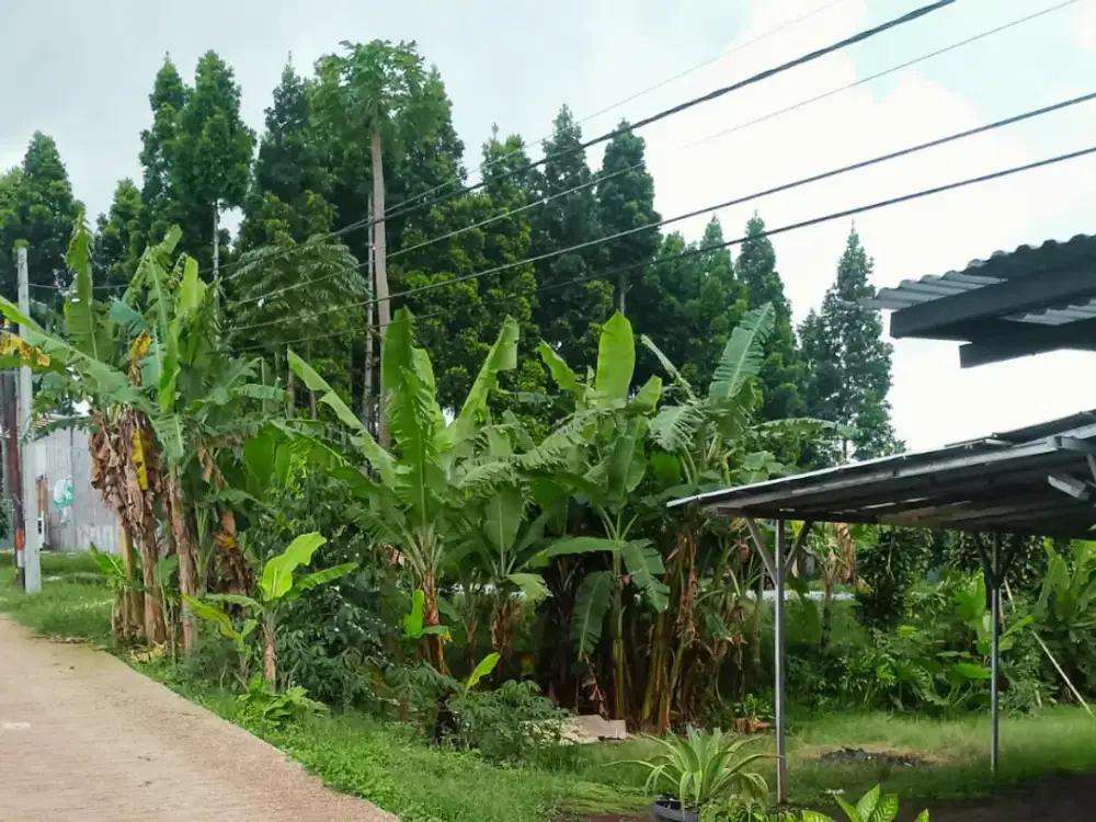 Bangun Rumah Impian di Tanah Luas 342m² Sayap Setiabudi
