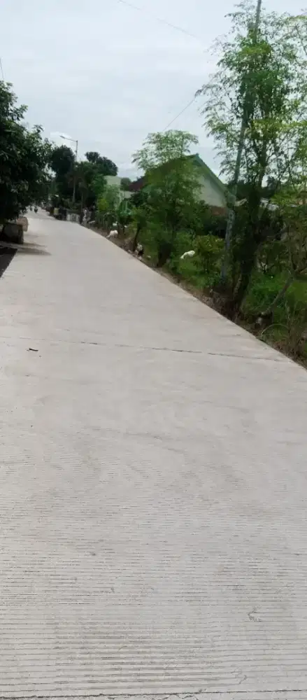 Tanah dijual cepat