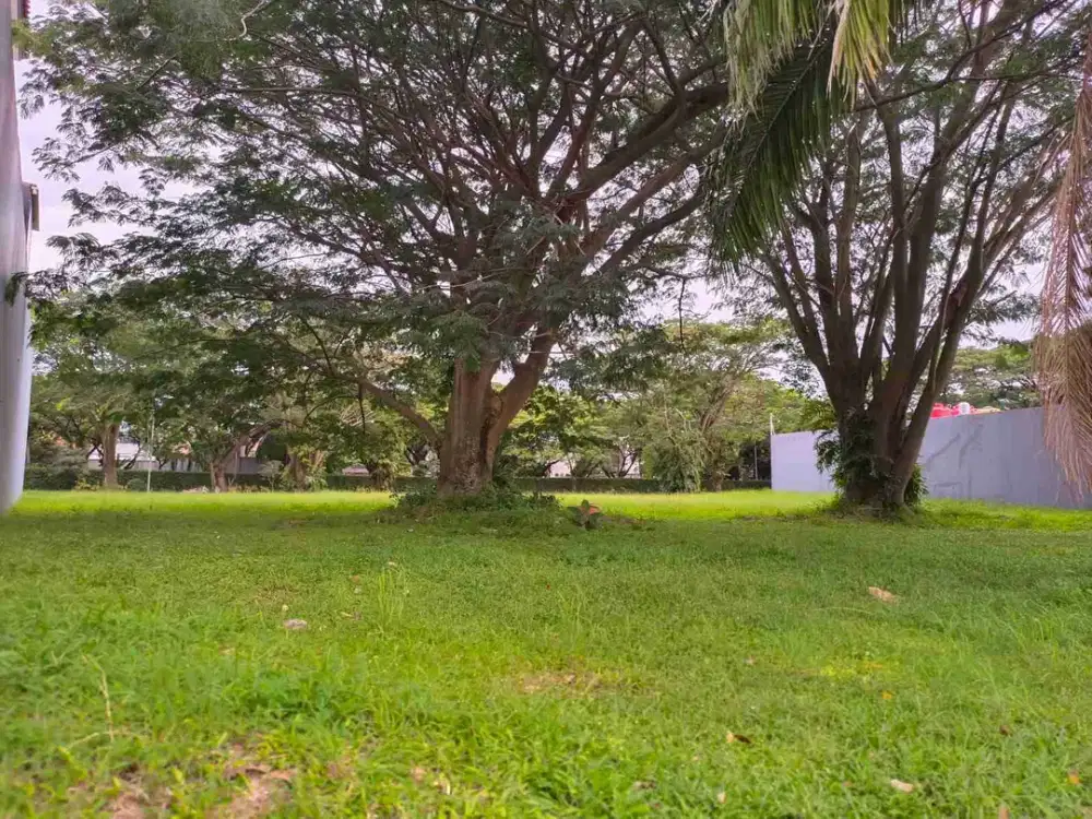 Dijual Tanah Kavling  Danau Biru Alam Sutera