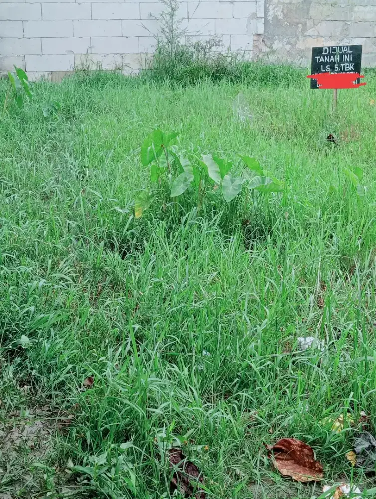 Dijual Tanah Kosong 2 ( dua ) Kavling. Luas tanah 70 m2 perkavlingnya.