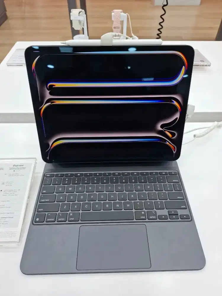 Ipad Pro Model 13 inch