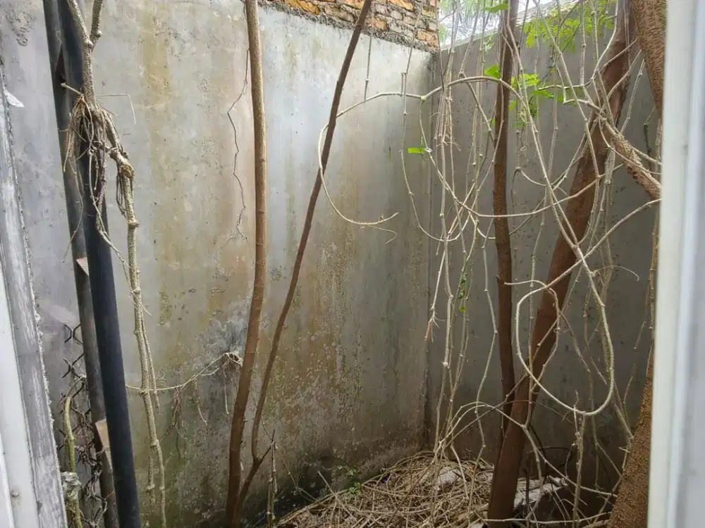 Ruko 2 Lantai Siap Untuk Usaha Harvest City Setu Bekasi Cileungsi