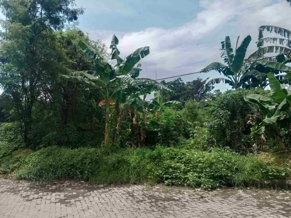 Jual Tanah Wedi Gedangan, Surya Indah Inti Permata Blok E