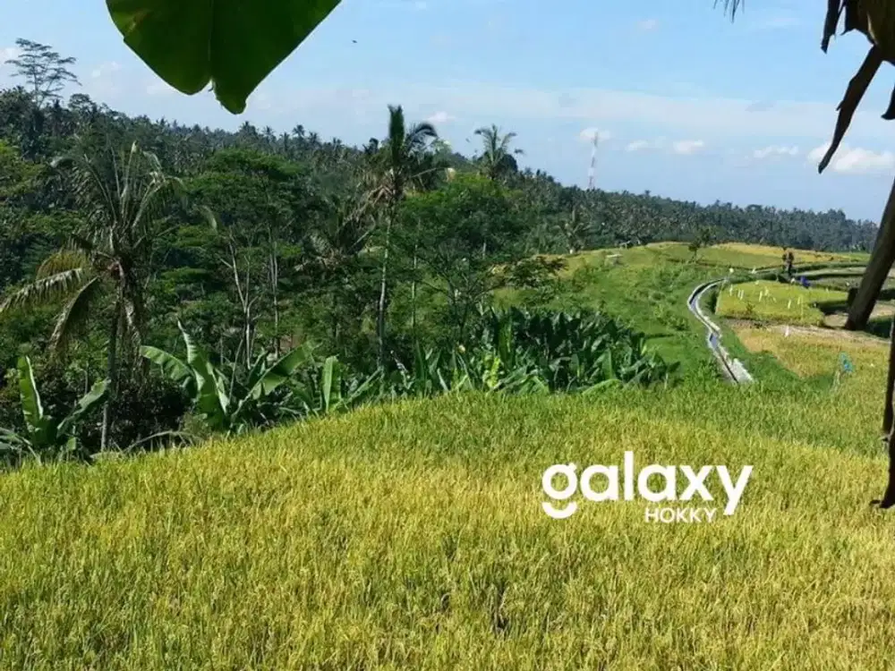 DIJUAL TANAH ZONA PARIWISATA DI PAYANGAN GIANYAR