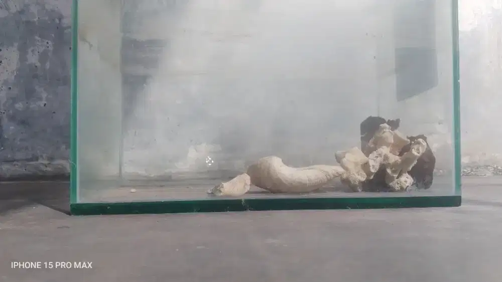 Aquarium bekas murah meriah