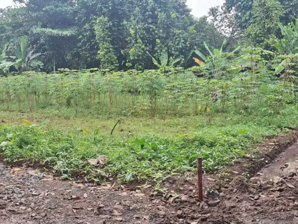 Tanah Setu SHM 1Jtan/m - 10 Menit Tol Burangkeng