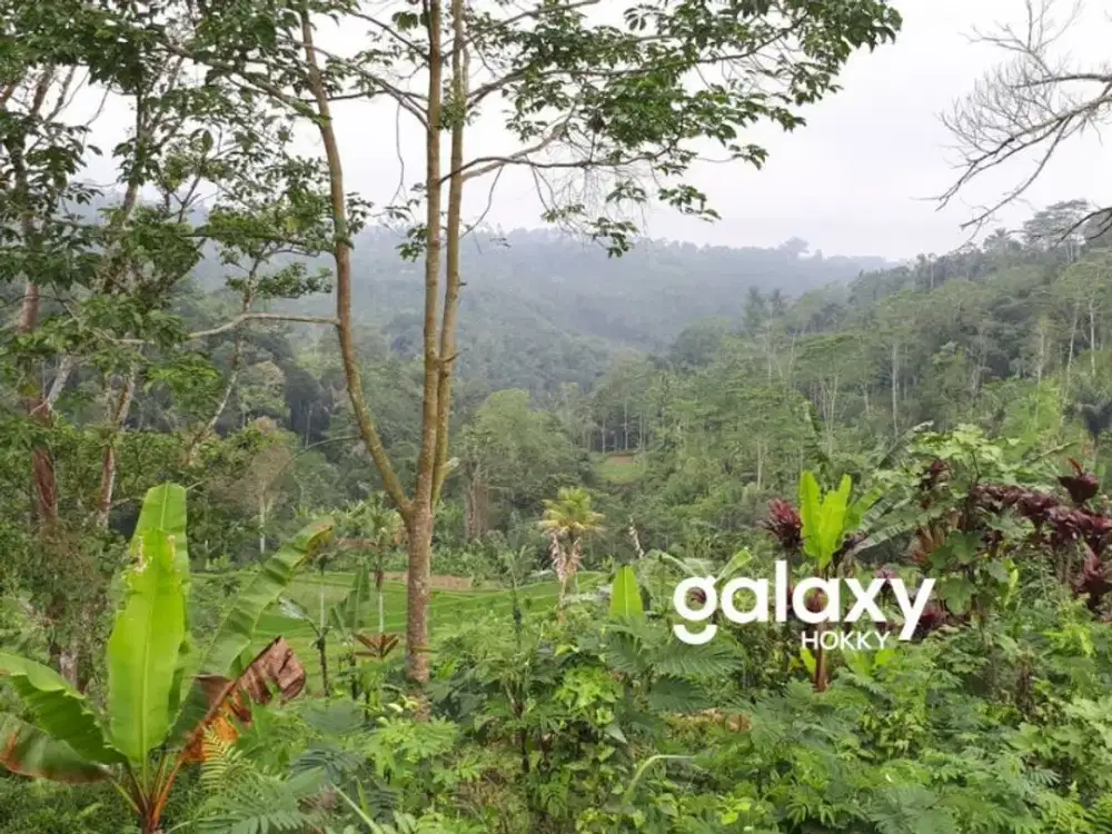 DIJUAL TANAH VIEW ALAM DAN AREA WISATA BANJAR PAUSAN PAYANGAN GIANYAR