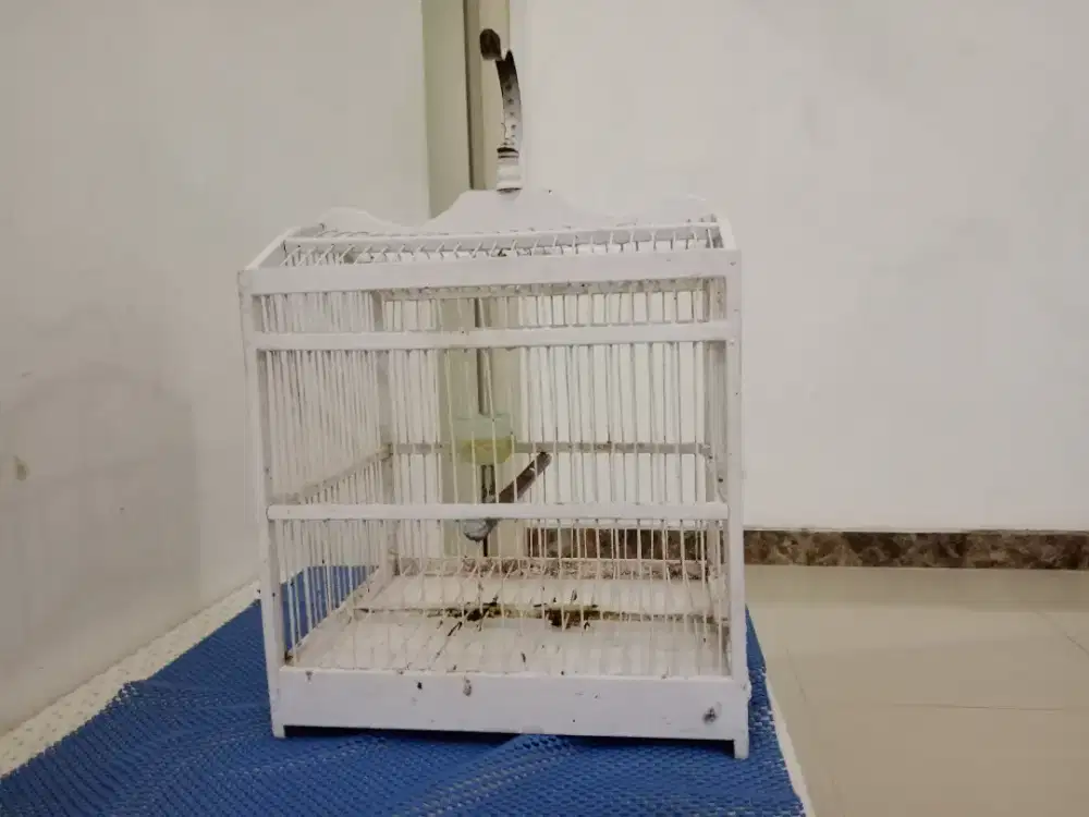 Kurungan bekas burung kecil