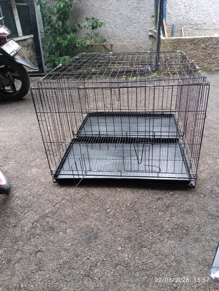 Kandang kucing besar