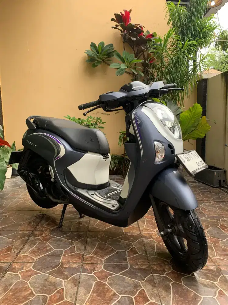 Honda scoopy 2025