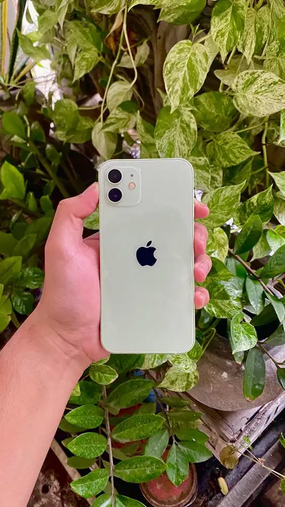 LIKE NEW !! iPhone 12 256GB Mint Green Imei Terdaftar Resmi Beacukai