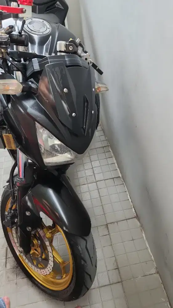 Ninja z250fi 2cylinder Lengkap