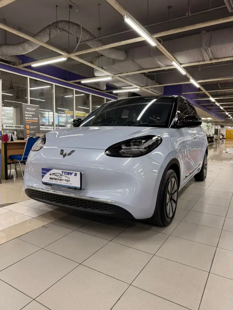 Wuling Binguo EV 2024 km 19rb