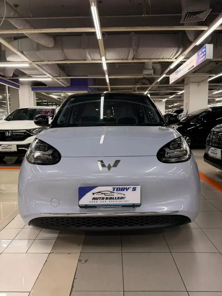 Wuling Binguo EV 2024 km 19rb