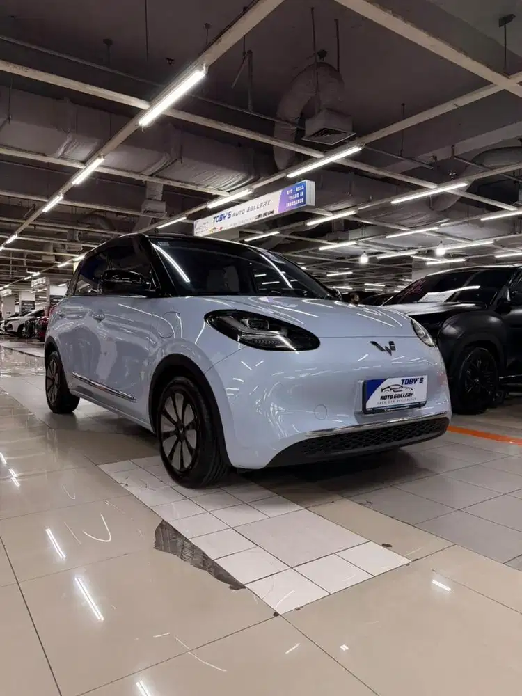 Wuling Binguo EV 2024 km 19rb