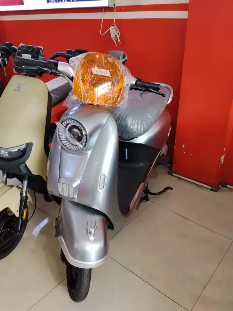 Sepeda Listrik U-winfly T65L