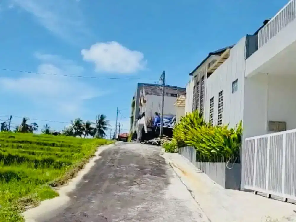 Tanah View Sawah Abadi Tumbak Bayuh Mengwi Badung