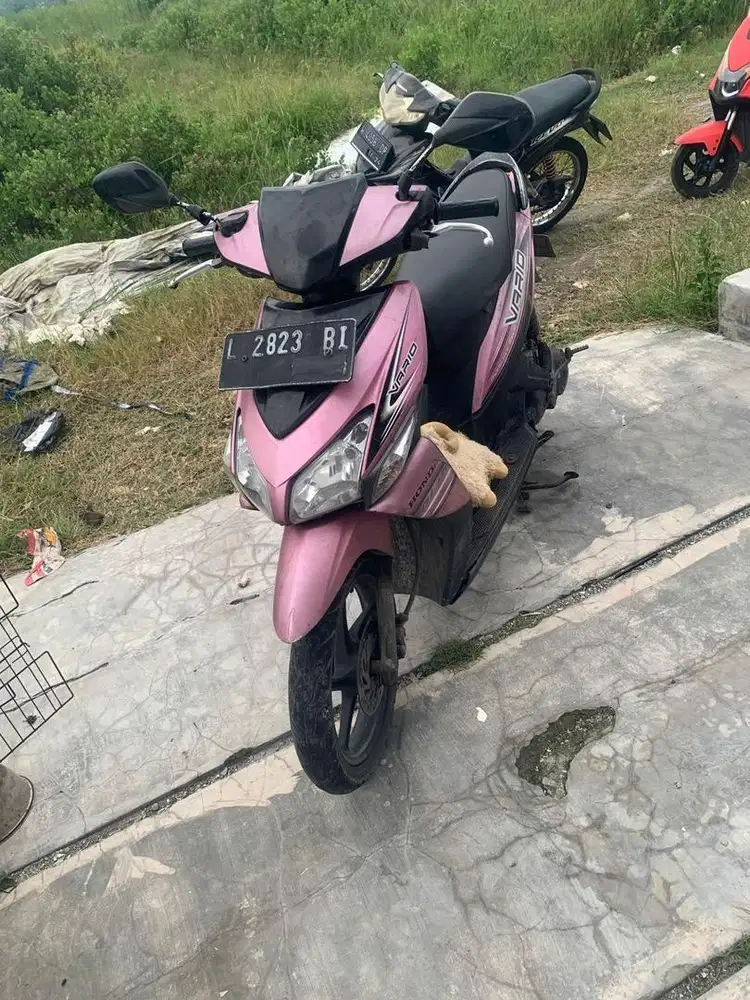 Vario carbu muluspoll